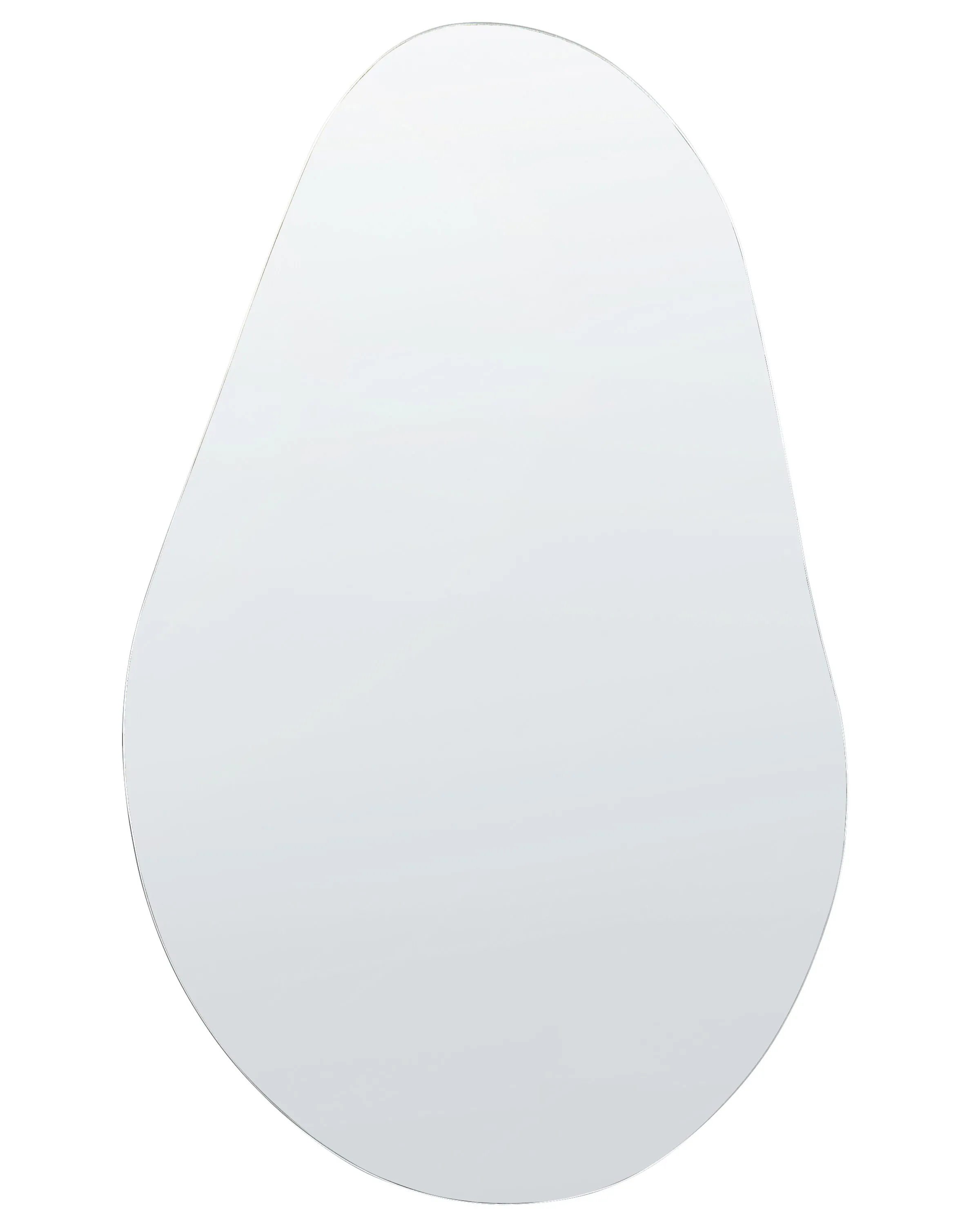 Wall Mirror AUBAGNE 40 cm 65 cm Silver
