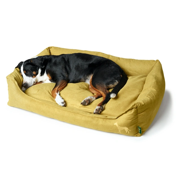 Hunde-Sofa, BxHxL: 70 x 26 x 100 cm, gelb