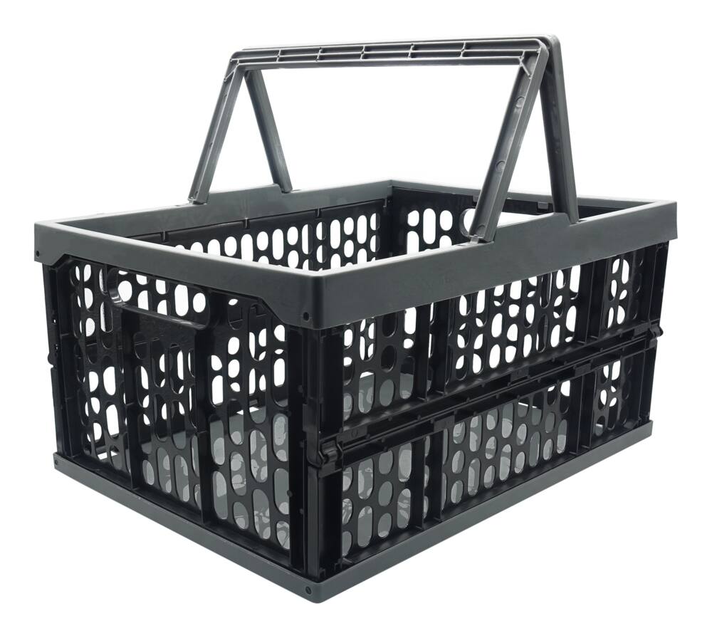 AutoTrends Collapsible Organizer