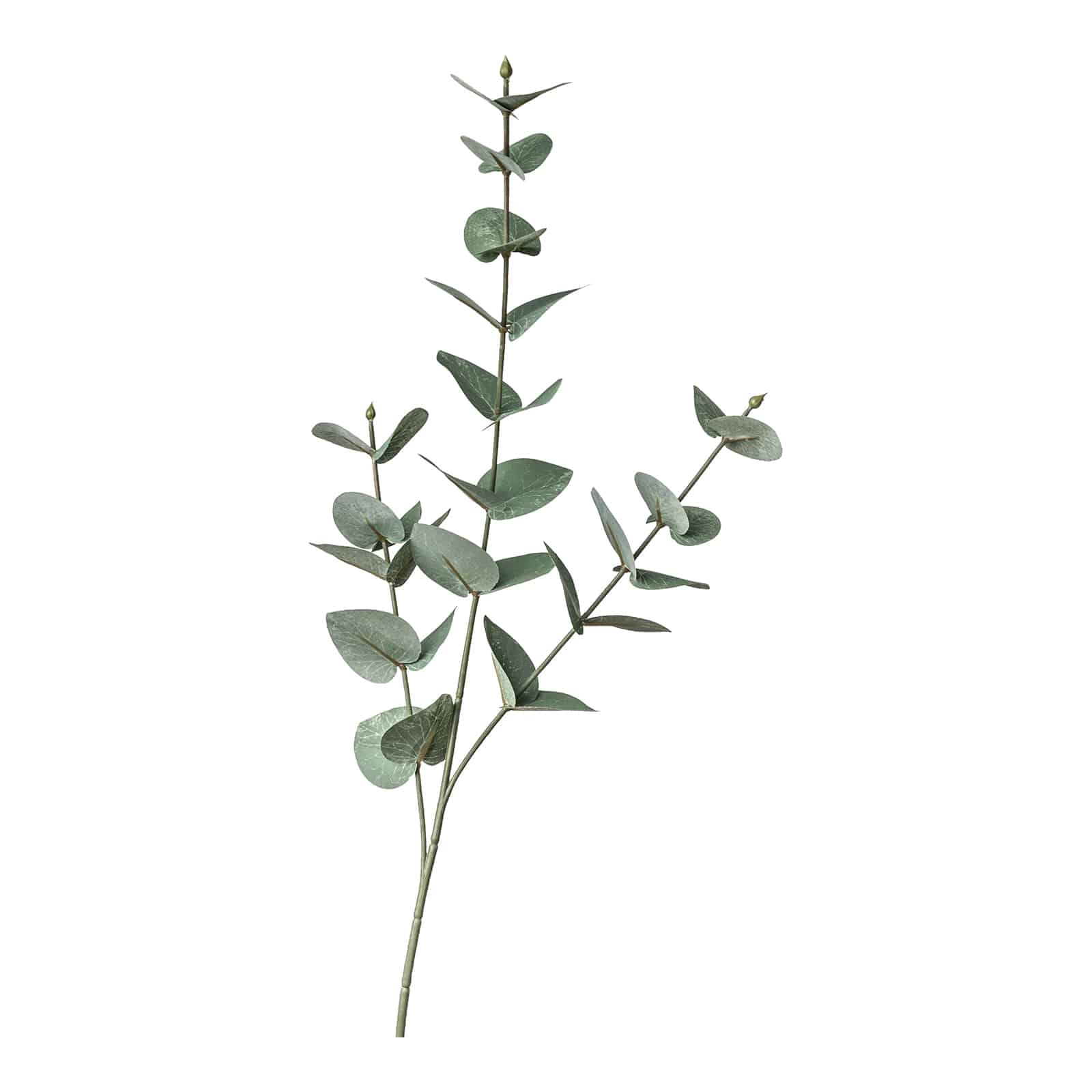 Kunstzweig Eukalyptus Grün,L 680 mm