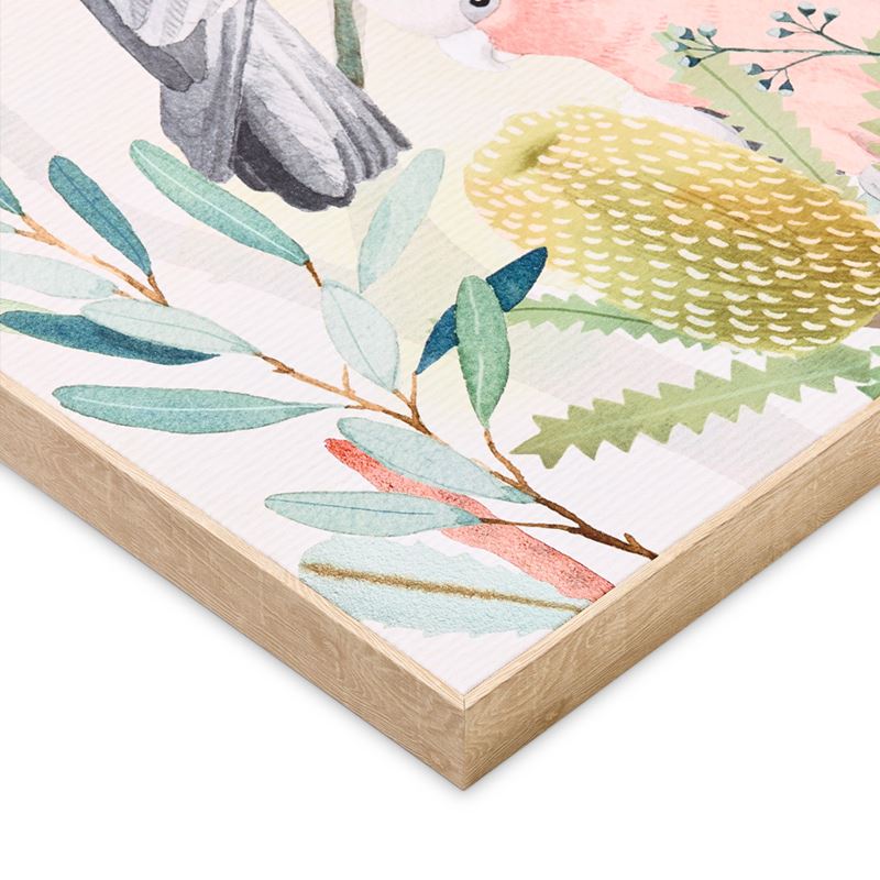 Native Bushland Pink Galah Canvas