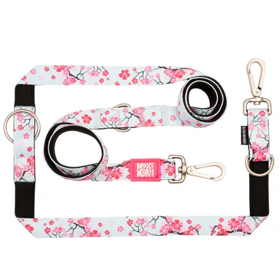 Max & Molly Cherry Bloom Multifunctional Leash