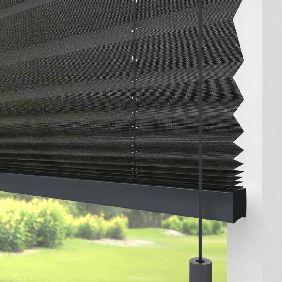 Kwantum Plisségordijnen | Fenstr Plissé Lina  Transparant Antraciet