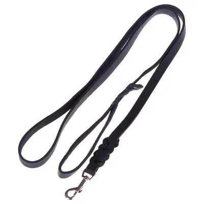 Heim Plaited Leather Dog Lead - Black