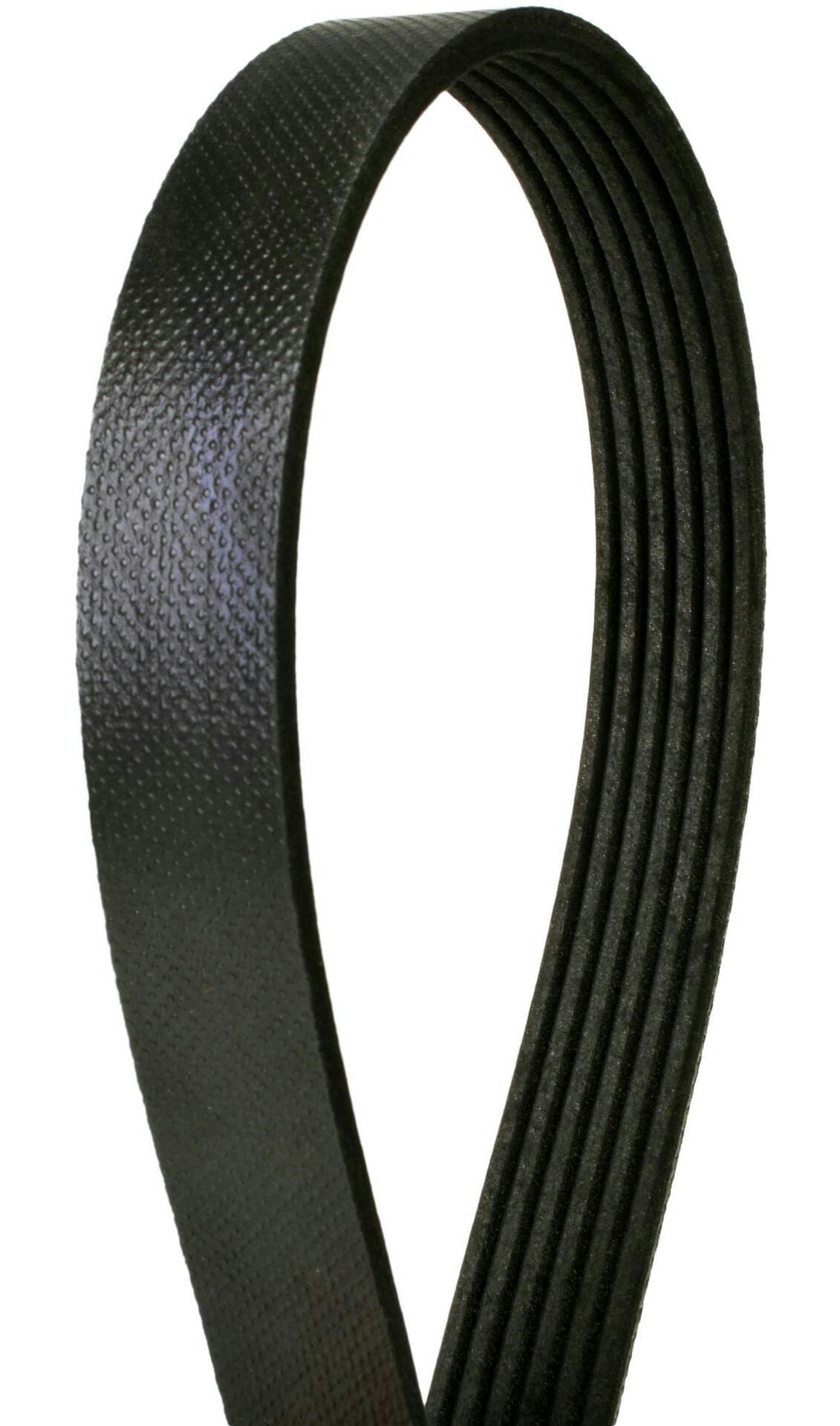Continental Serpentine Belt