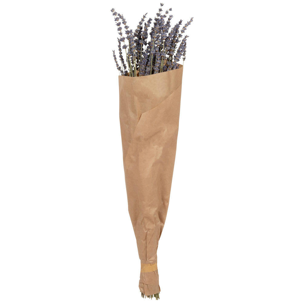 - Bouquet de lavande séchée