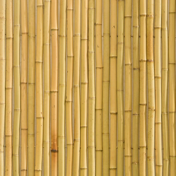 Sichtschutzmatte, Bambus, LxH: 180 x 180 cm