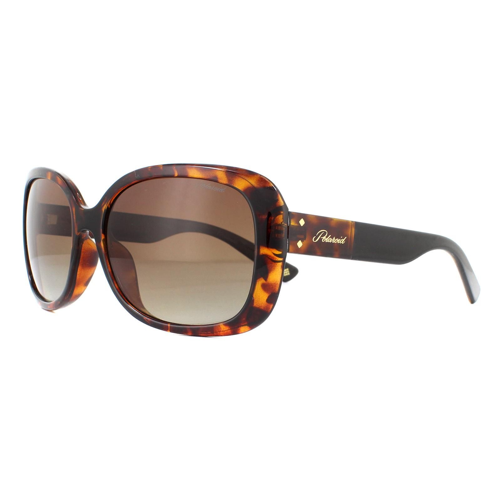 Polaroid Fashion Havana Brown Gradient Polarized Sunglasses