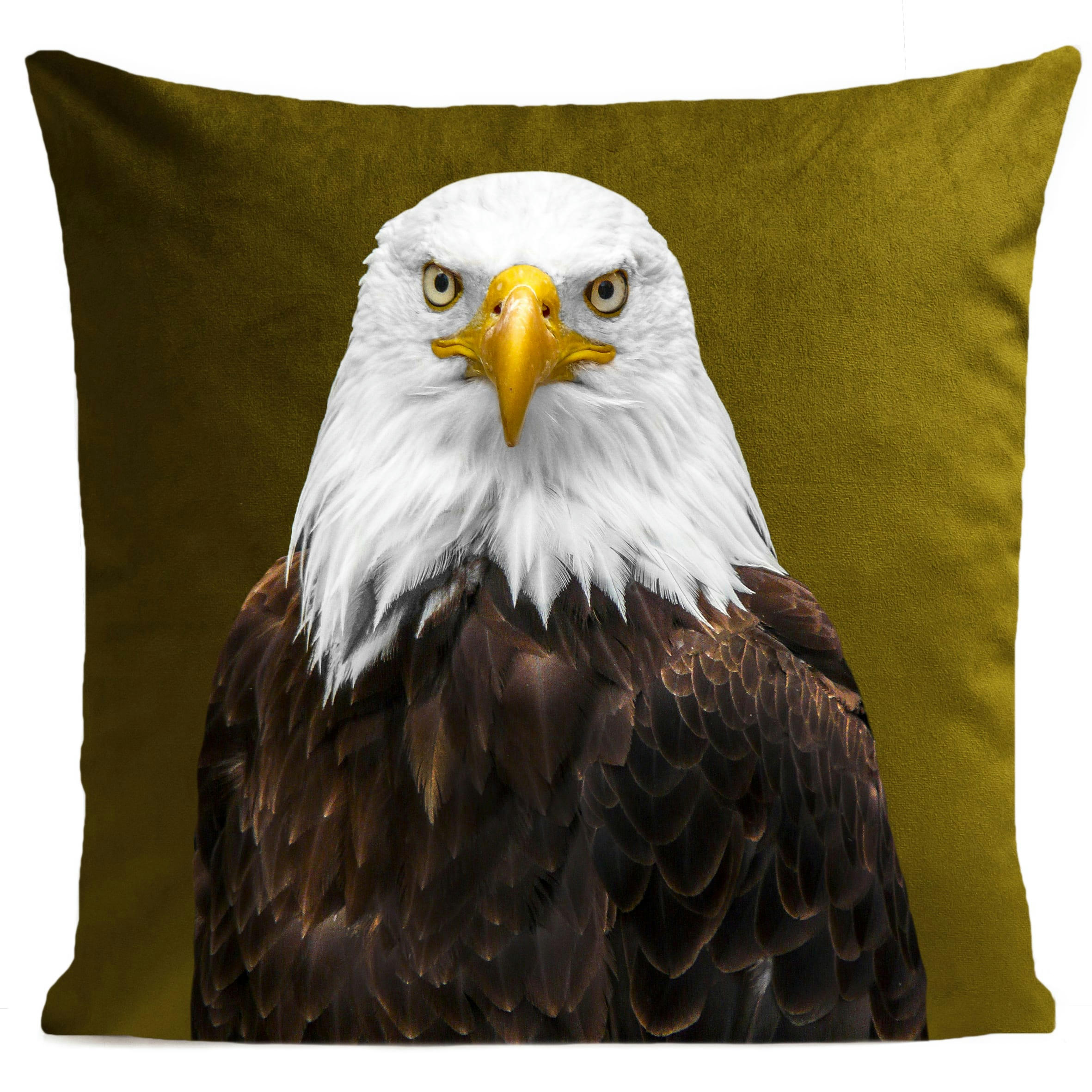- Coussin oiseau aigle  suédine vert 40x40cm