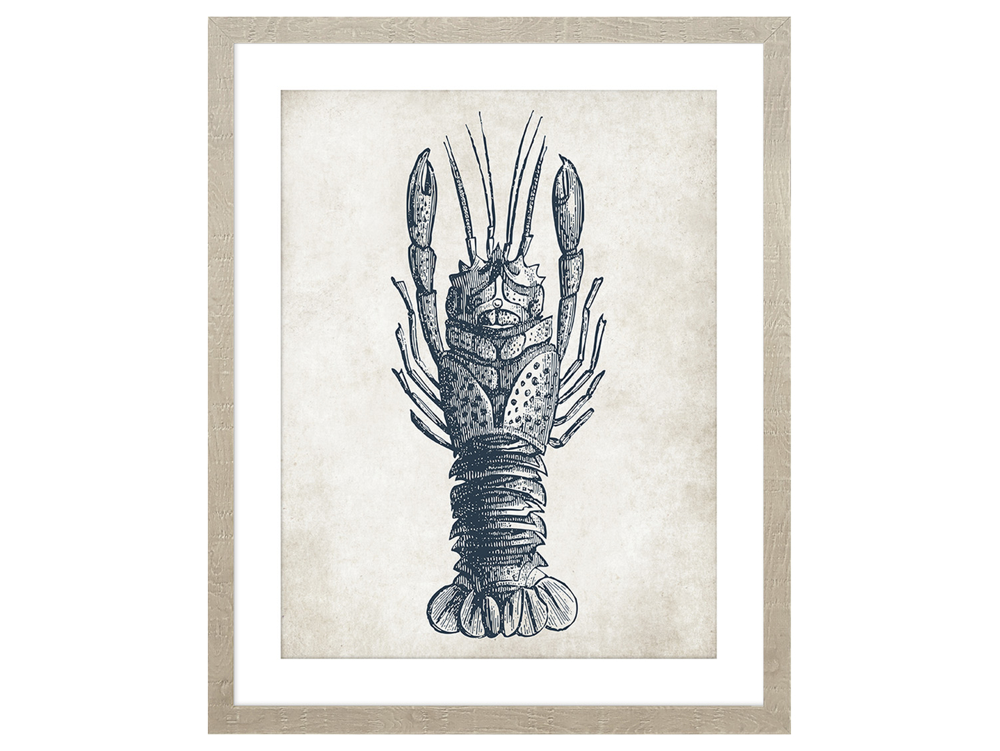 Obraz w ramie Lobster Outline 43x53 cm