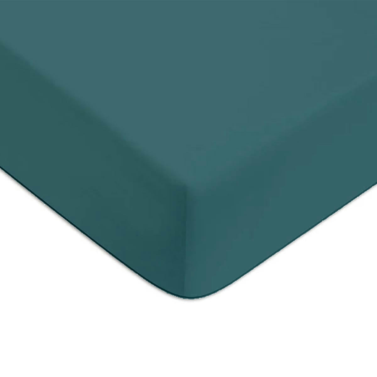 COTON UNIS - Drap housse coton  uni canard 160x200cm