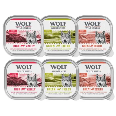 Wolf of Wilderness Adult Classic 6 x 300g