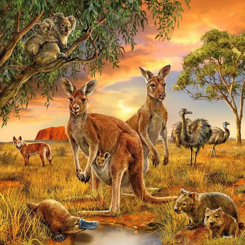 Puzzle 3-teilig Tiere der Erde