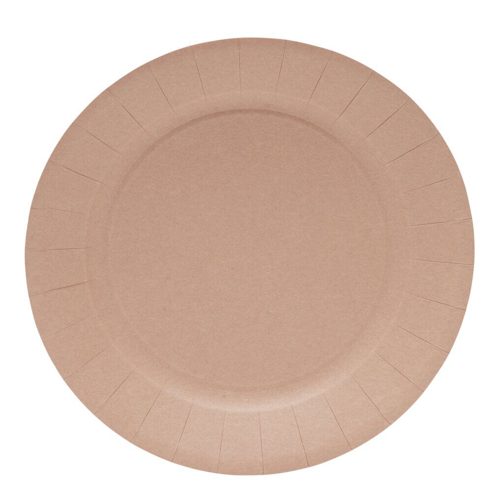 Lot de 10 assiettes en carton Ø23cm rose