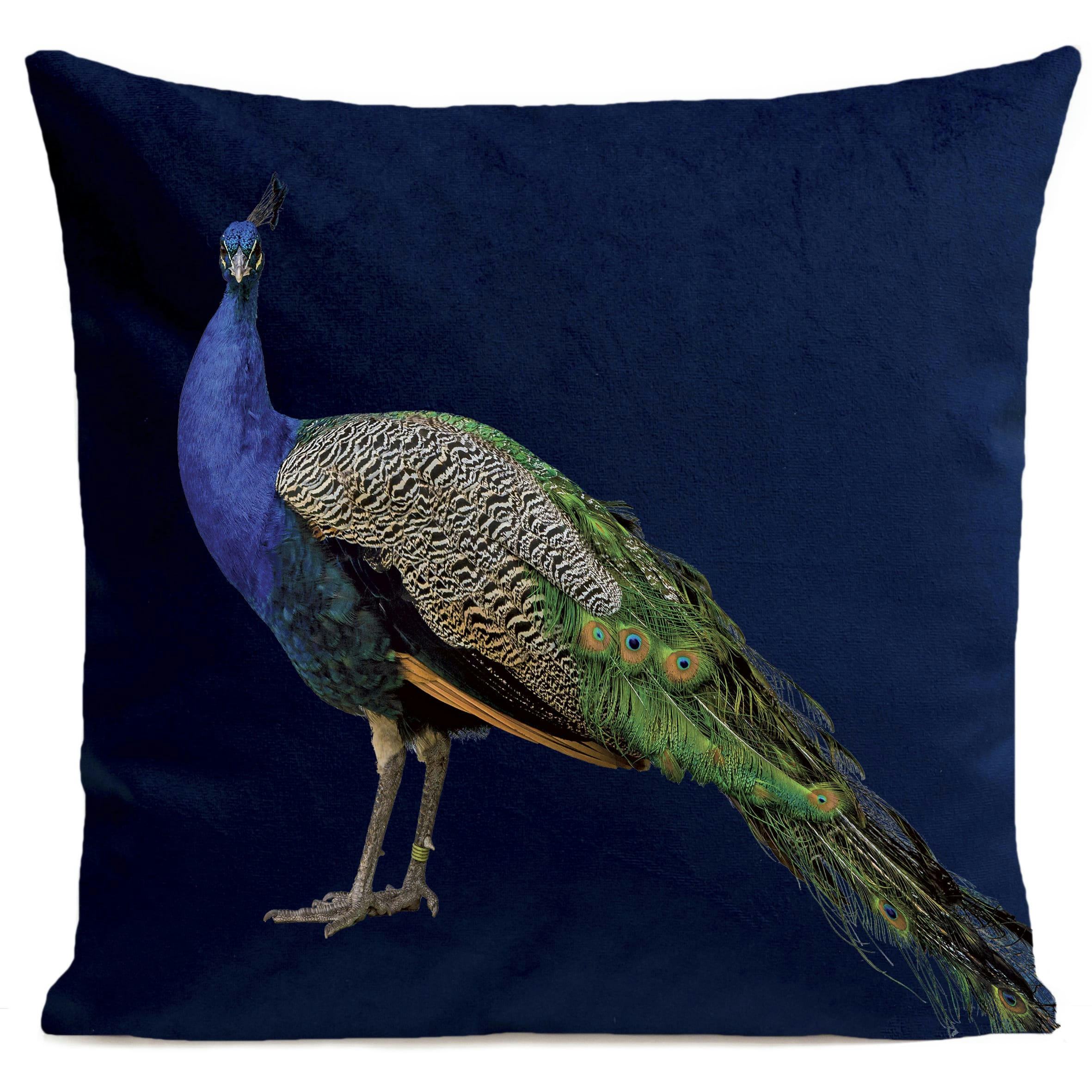 - Coussin campagne paon suédine bleu 40x40cm