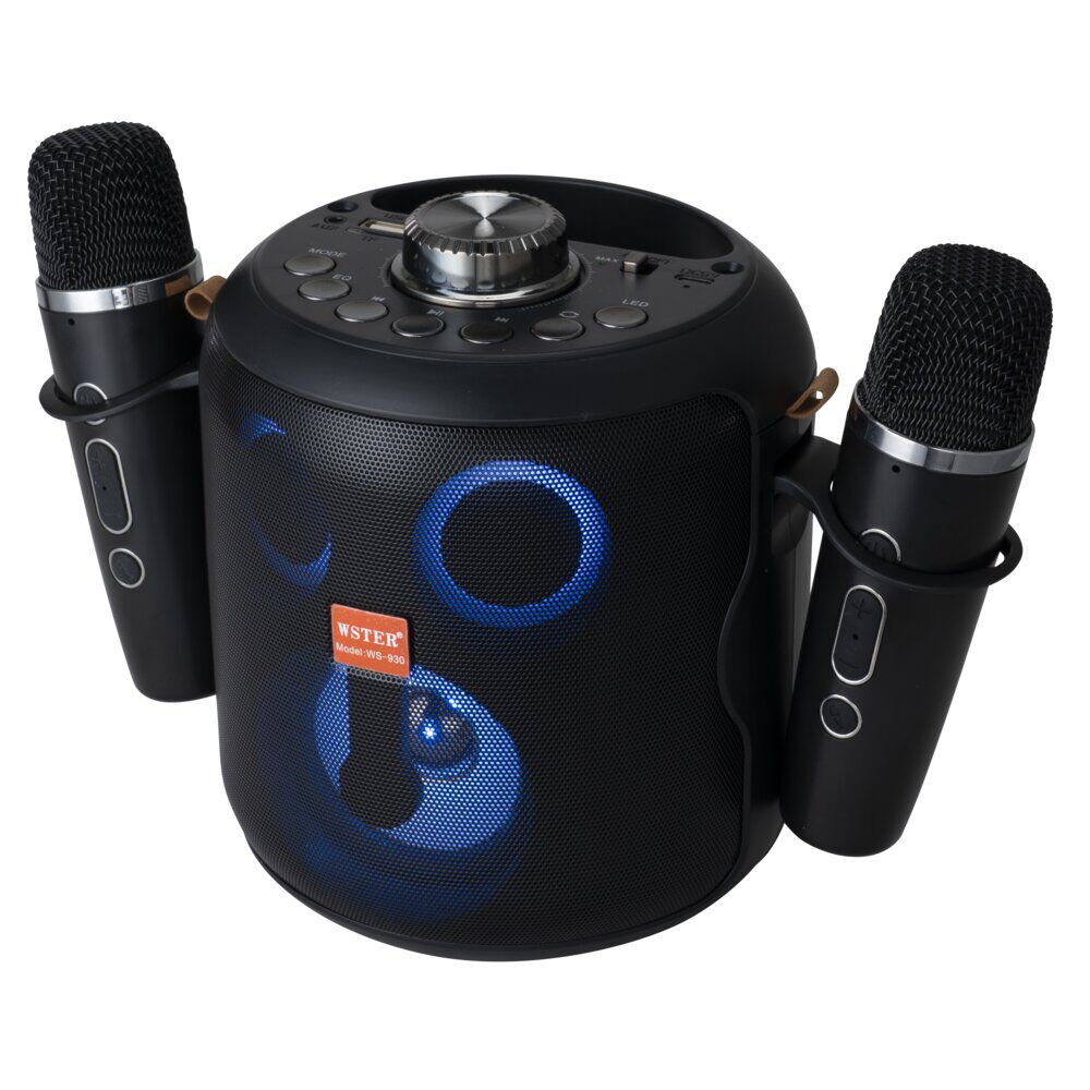 Enceinte karaoké bluetooth avec micro x2 lumineuse Homday H149cm 15W