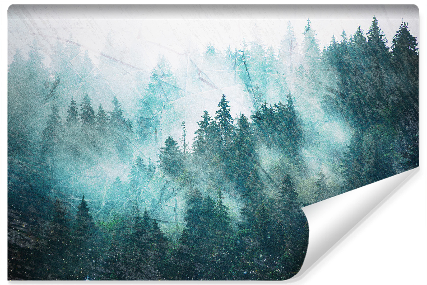 Fototapeta Ścienna LAS WE MGLE Pejzaż 3D 90x60cm
