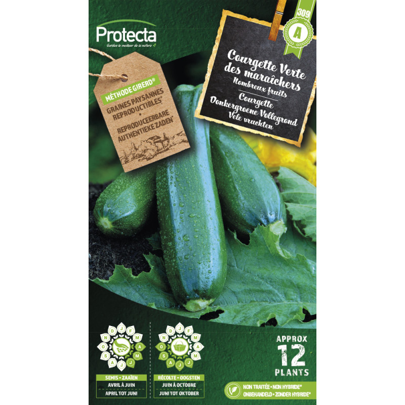 Semences de courgette Verte des maraîchers PROTECTA