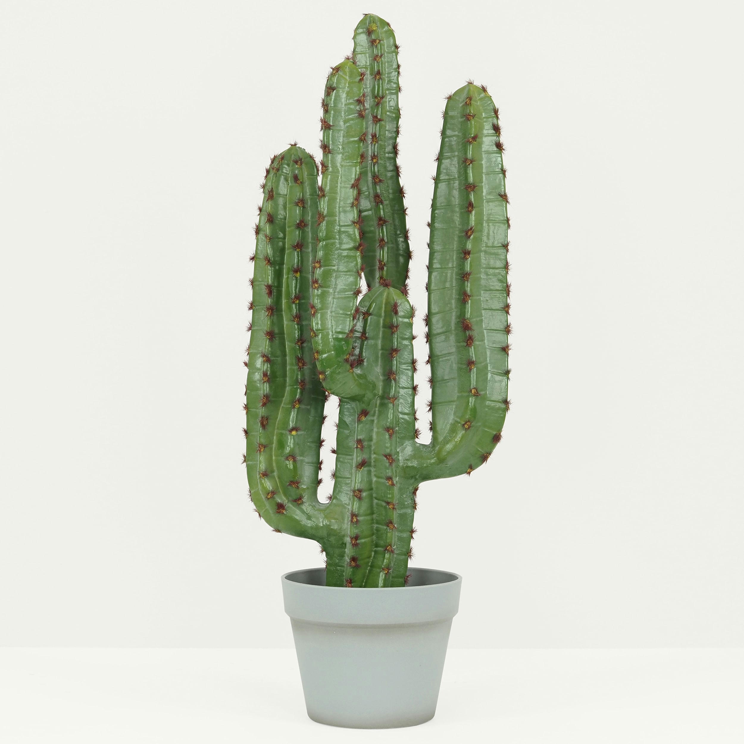 - Cactus artificiel euphorbe 70cm