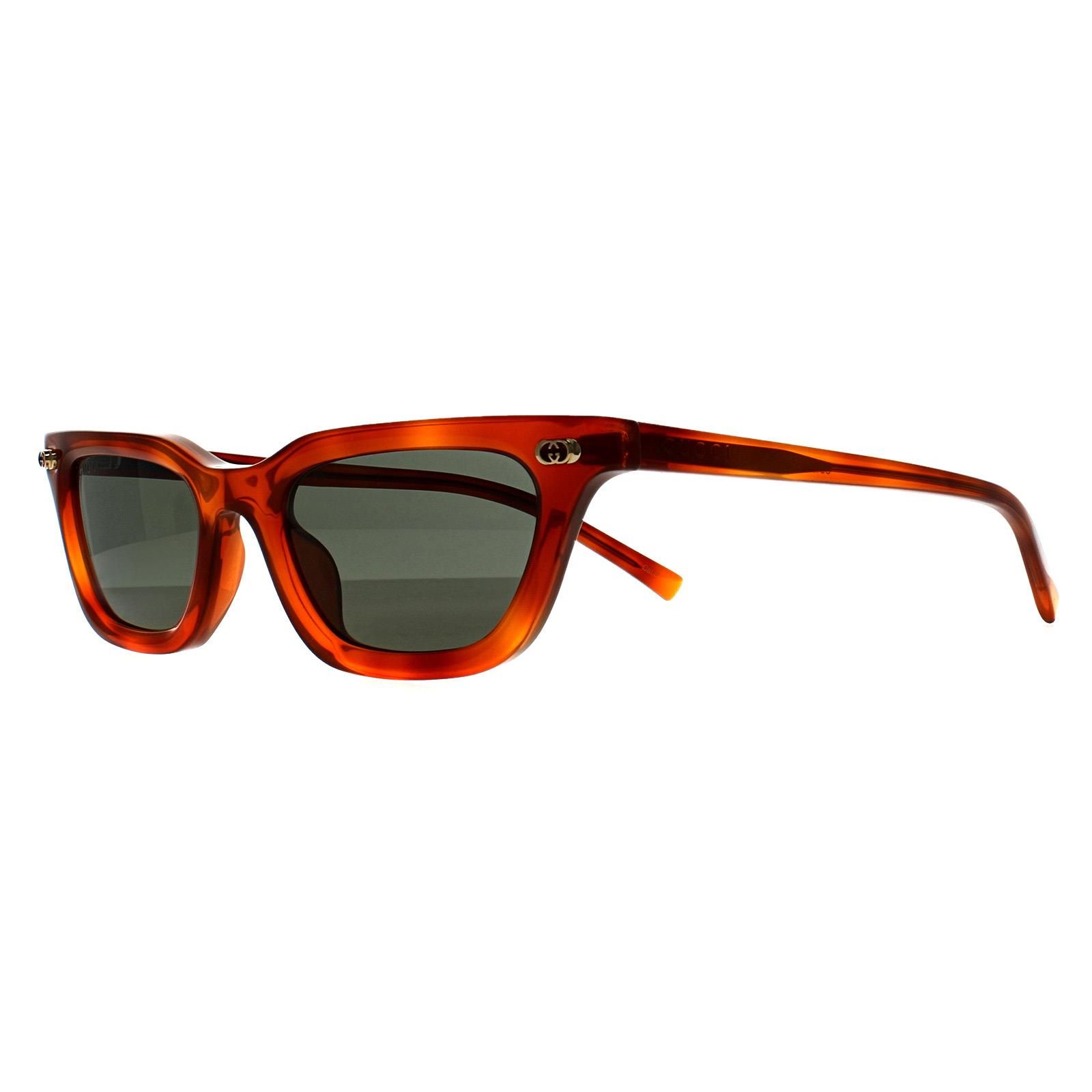 Gucci Cat Eye Shiny Dark Havana Brown GG1944S