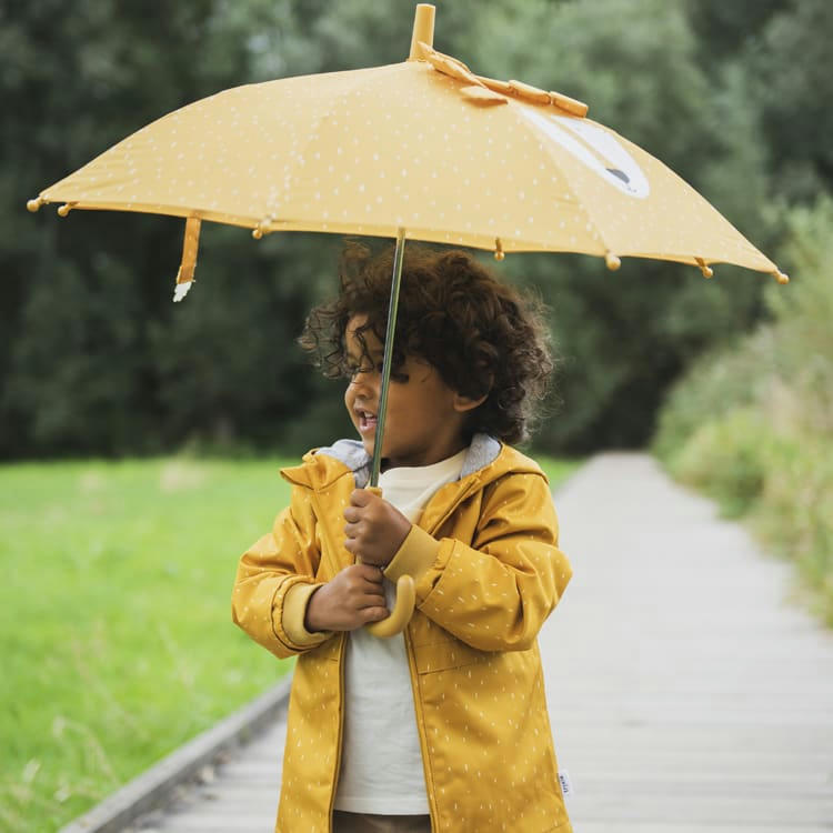 - Parapluie Mr. Lion