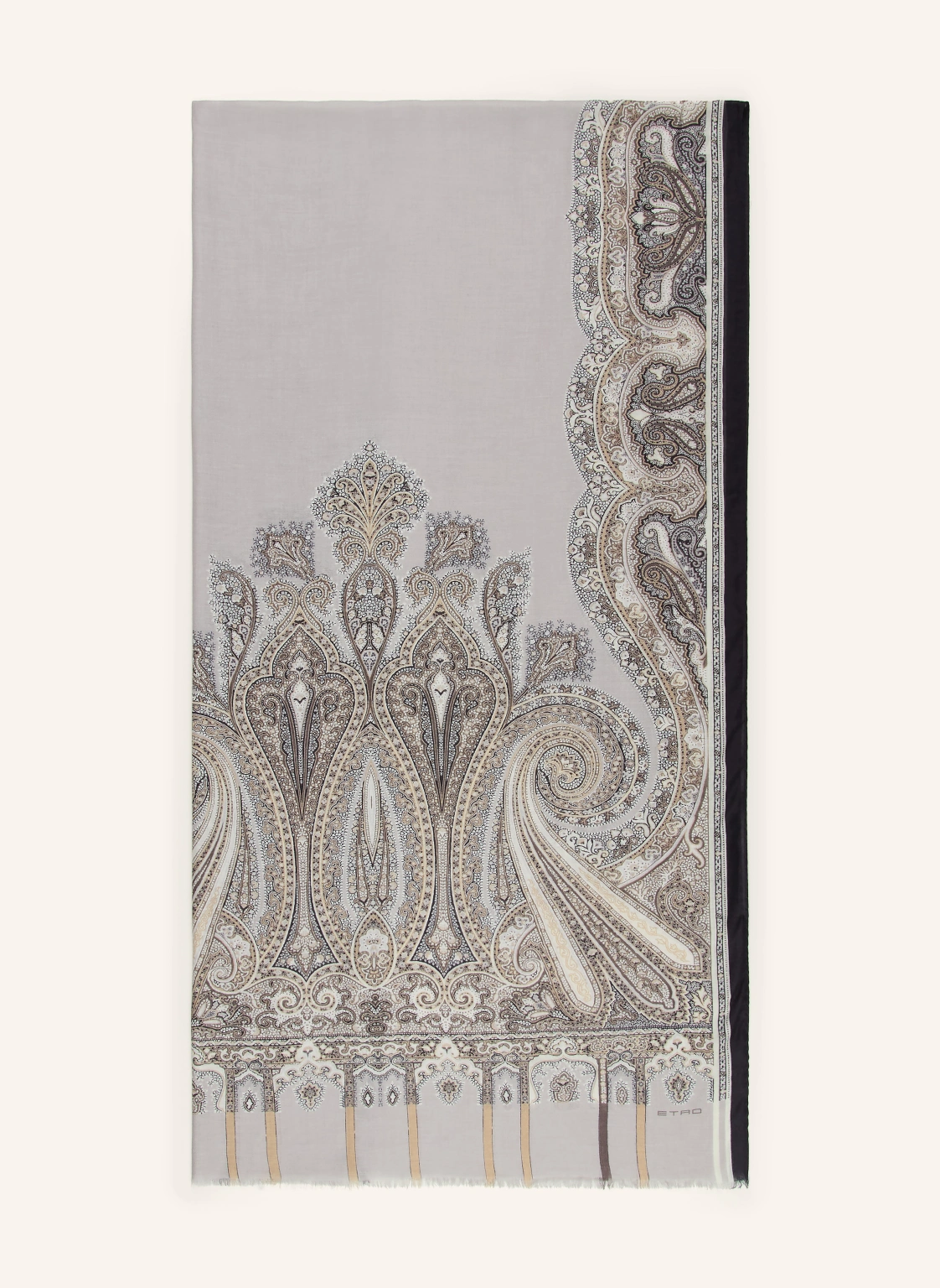 ETRO Schal
