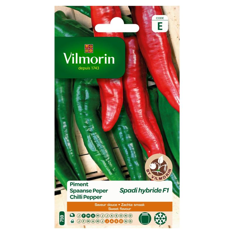 Semences de piment Spadi hybride F1 VILMORIN