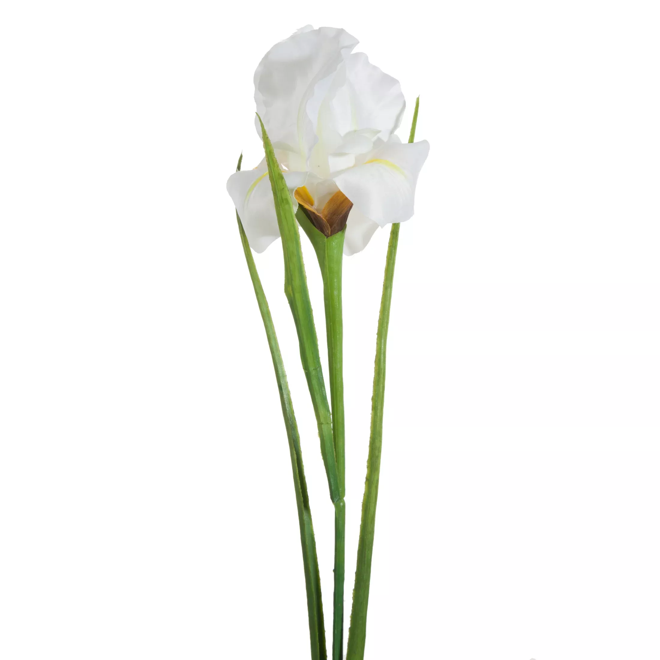 Kwiat sztuczny irys kremowy 61 cm