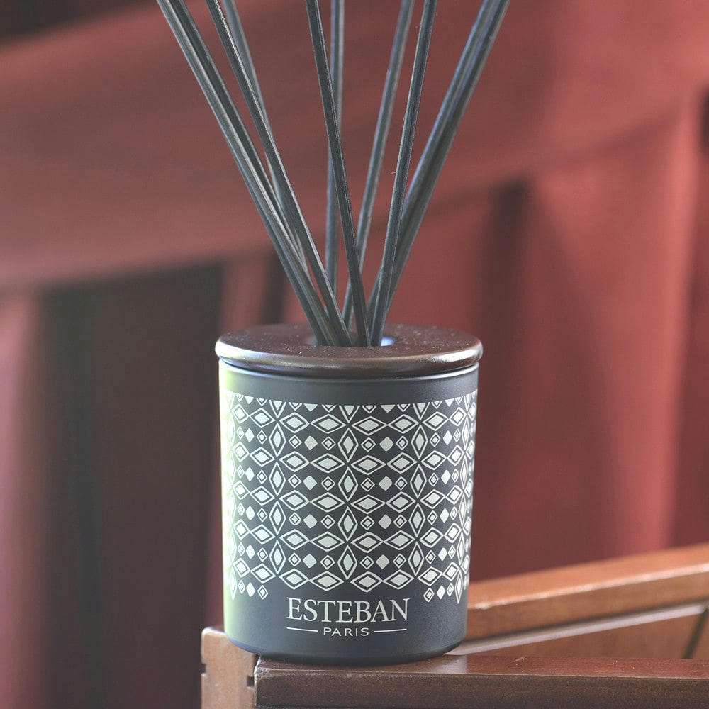 TECK & TONKA - Bouquet parfumé déco 100ml