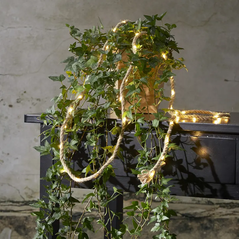 Lichterkette Jutta