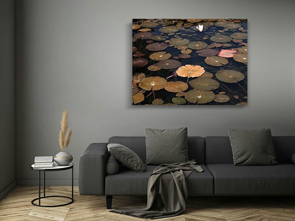 MERVEILLE - Photographie d'art de Zoé Pignolet 45x60 cm sur alu