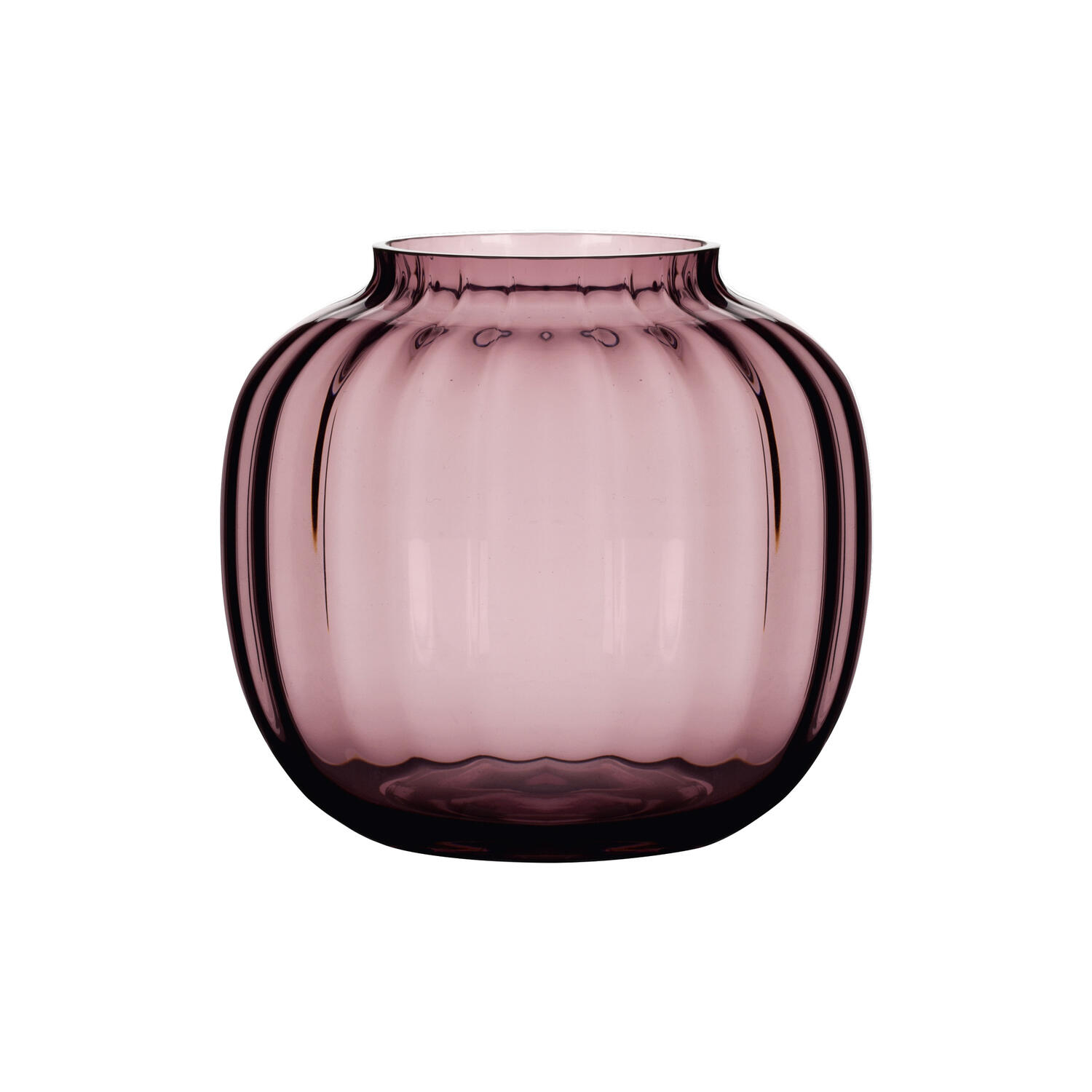 Primula vase, blomme