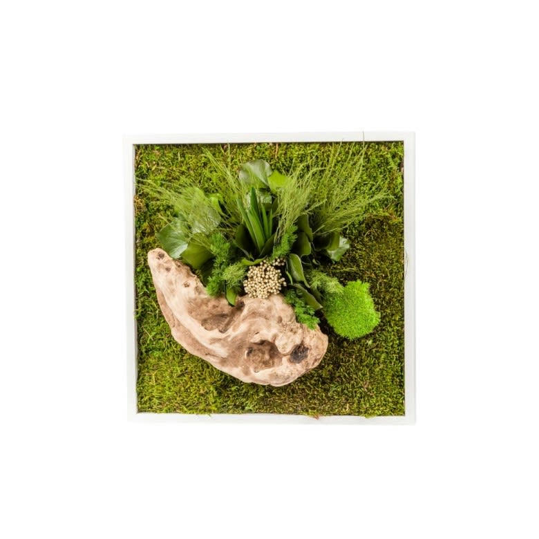 STAB NATURE - Cadre blanc carré 35x35cm