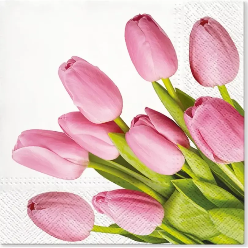 Serviette 20er-Set Everest