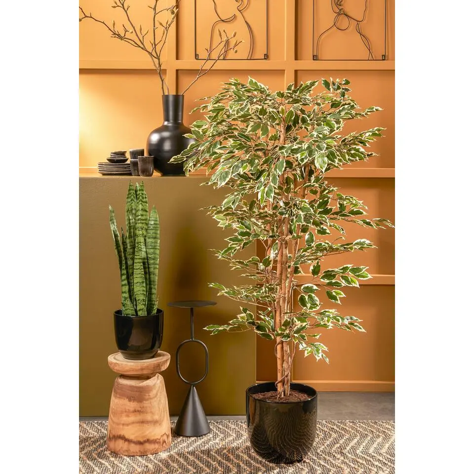 Mica Decorations Ficus Kunstplant - H180 x &Oslash;90 cm - Groen Bont