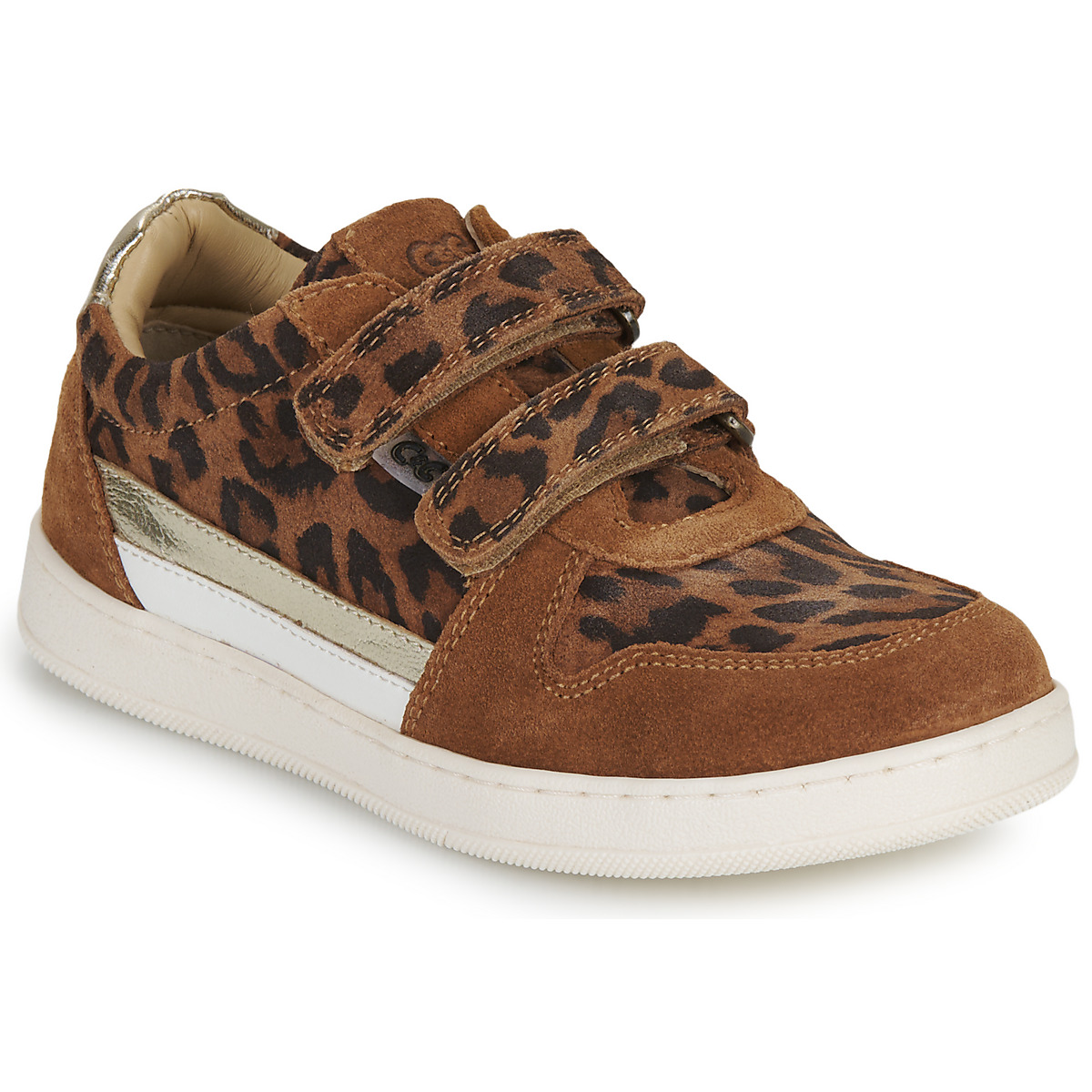 Citrouille et Compagnie - BETEIZ - Leopard