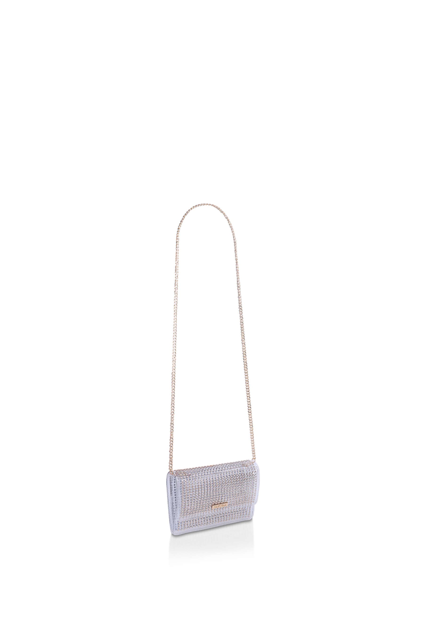 Carvela Shimmer Clutch' Bag