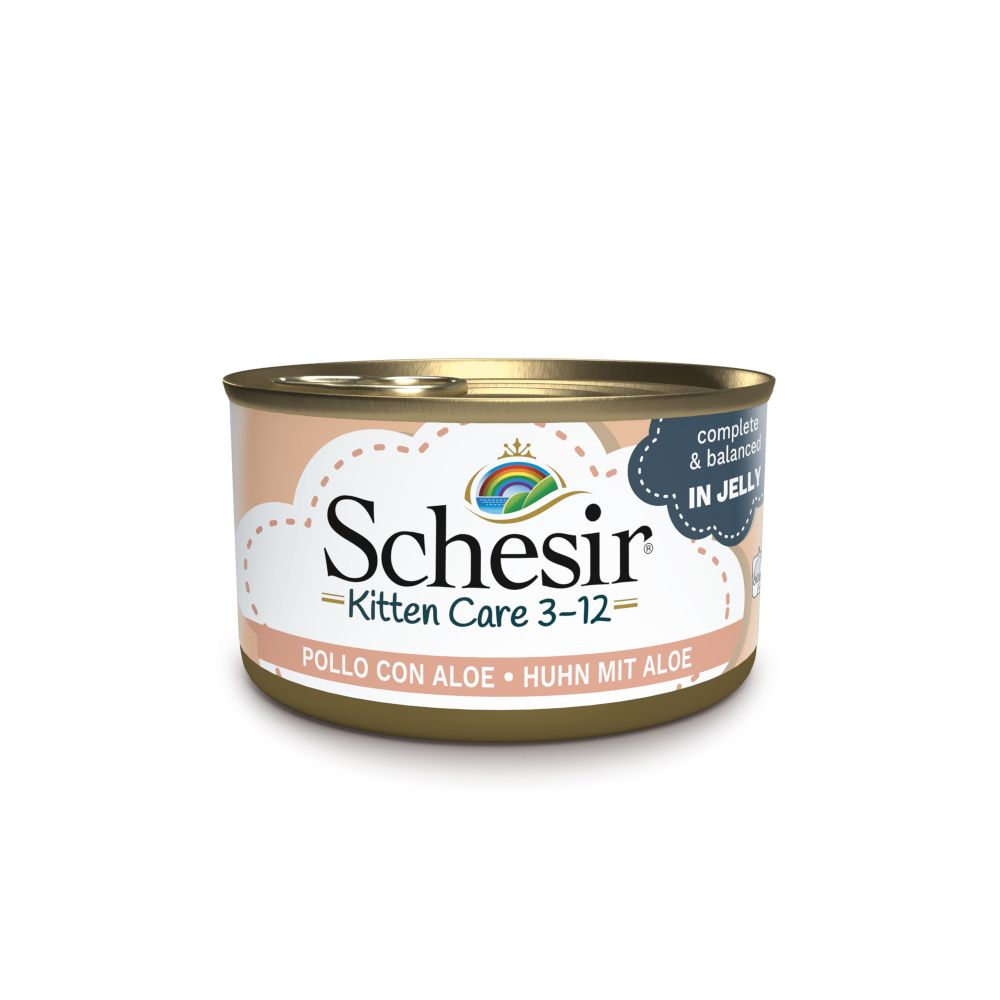 Schesir Kitten in Jelly