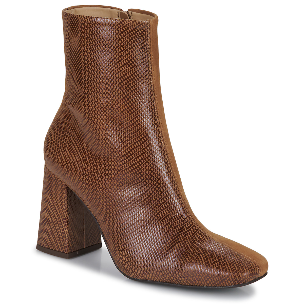 Fericelli - HERCULE - Camel
