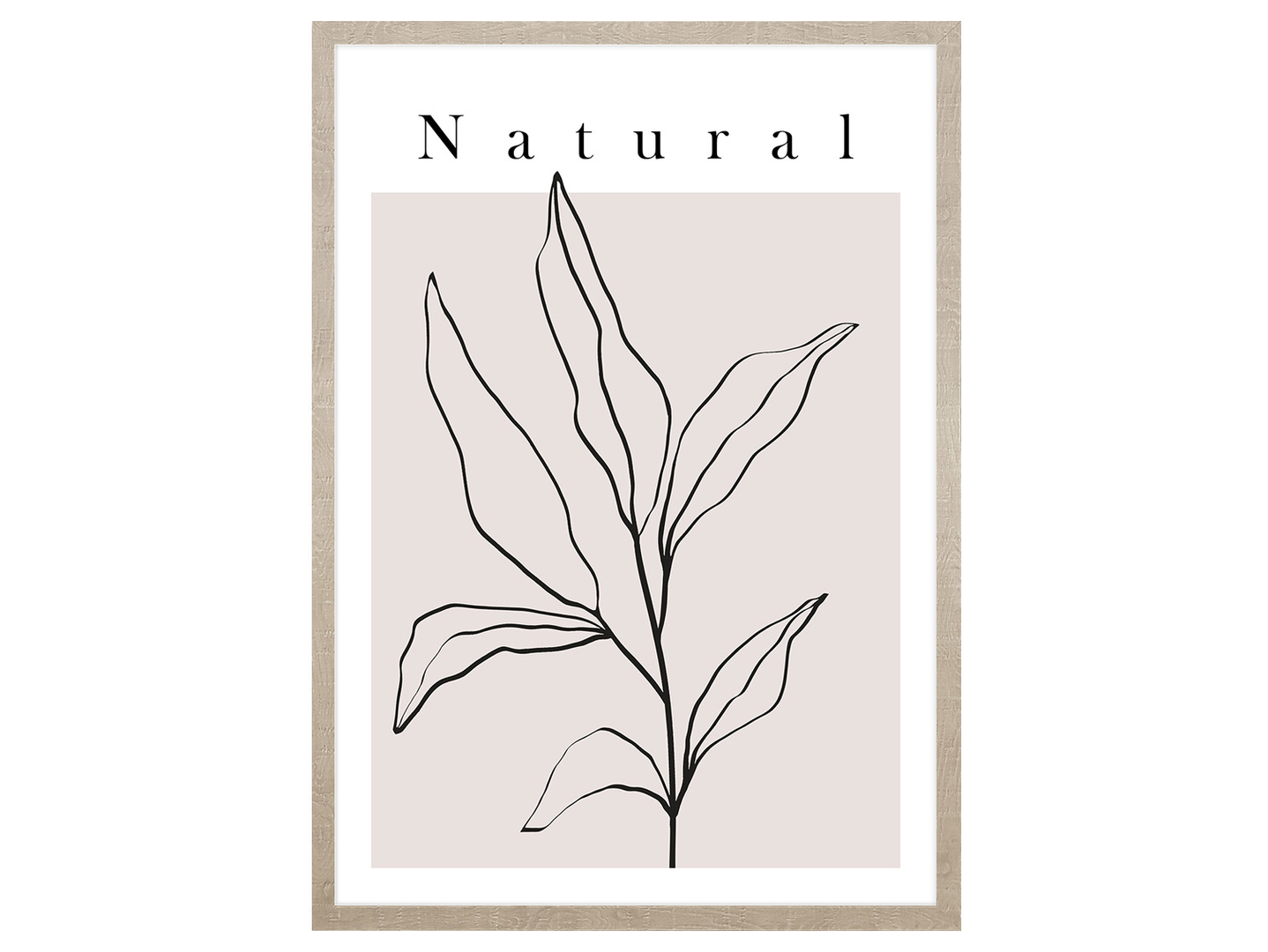 Obraz w ramie Natural Art. Line Plant No.1 53x73 cm