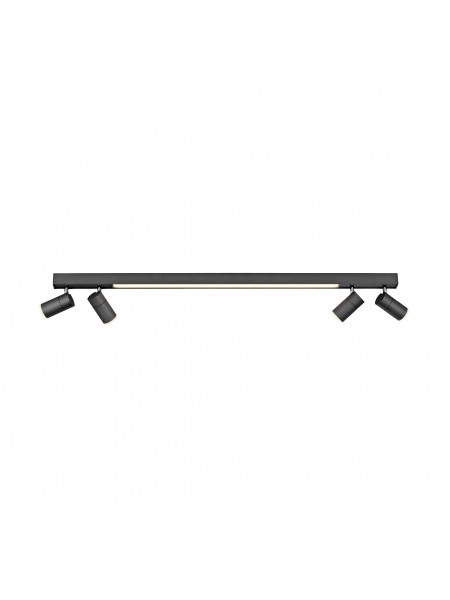 Lampa sufitowa PURE-LINES 6121-13