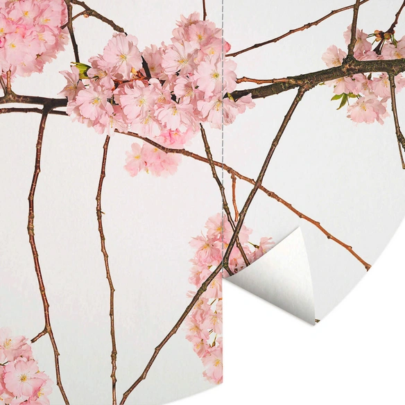 Vliestapete »Runde Vliestapete«, Kadam Japanische Kirschblüten, mehrfarbig, matt