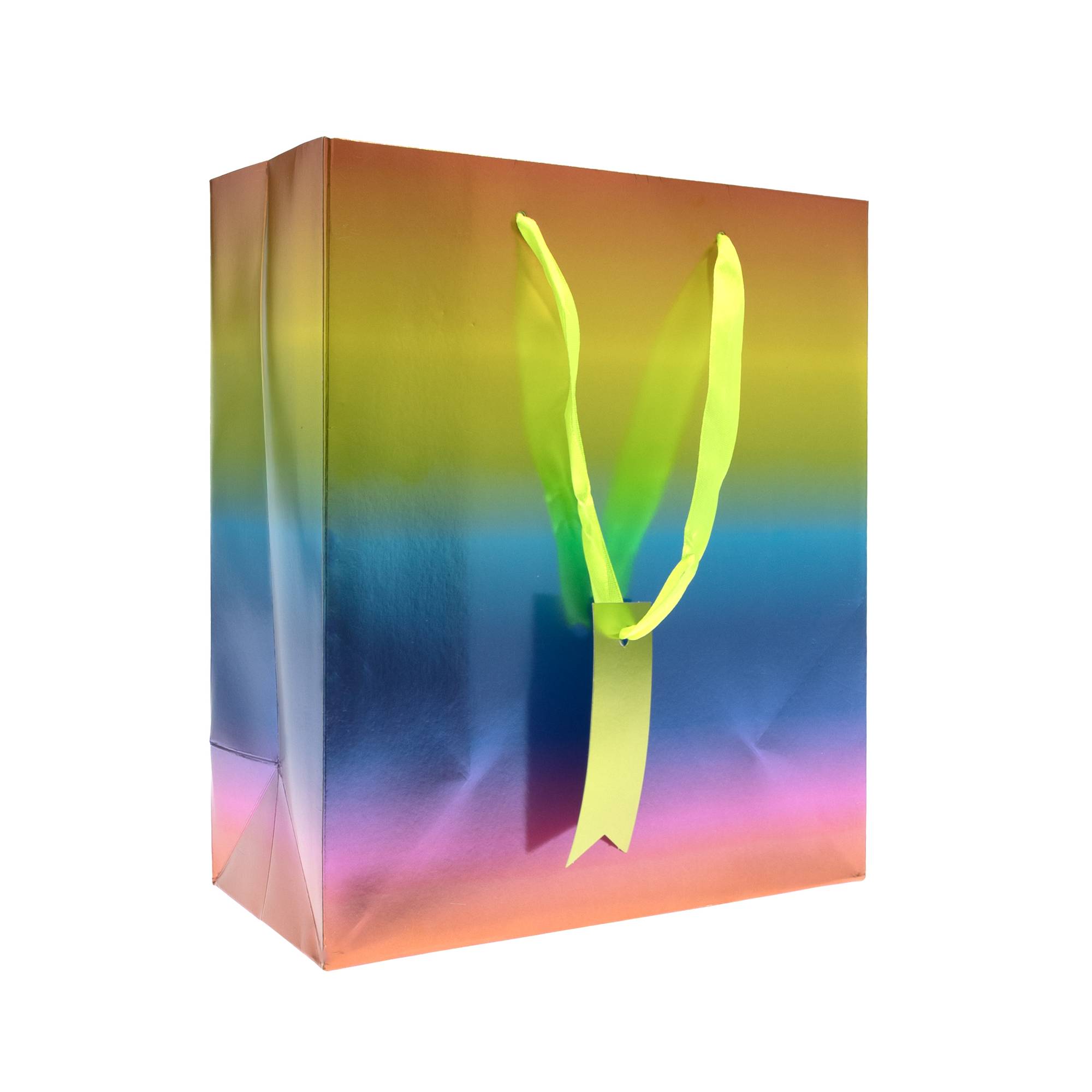 Metallic Rainbow Gift Bag 21.5cm x 25cm