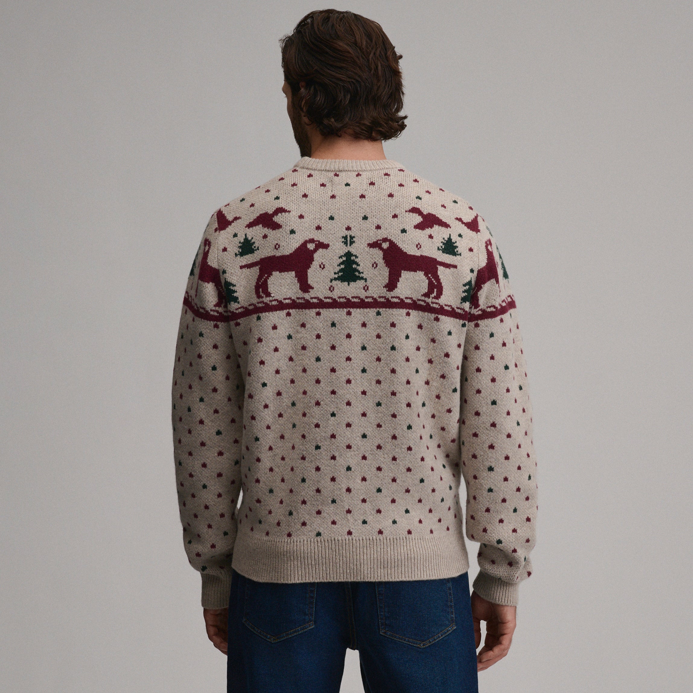 Men's Holiday Festive Crew Dog Sweater