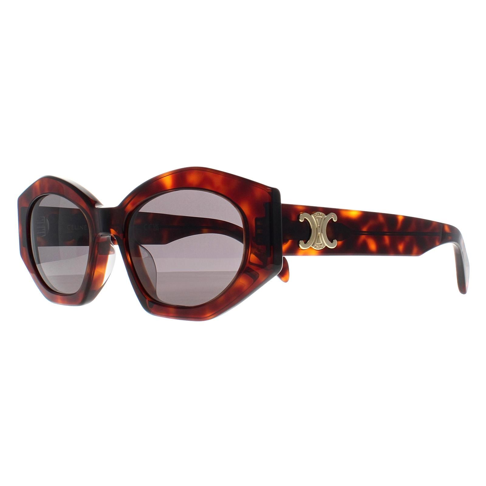 Celine Cat Eye Dark Havana Smoke Grey Triomphe CL40238U