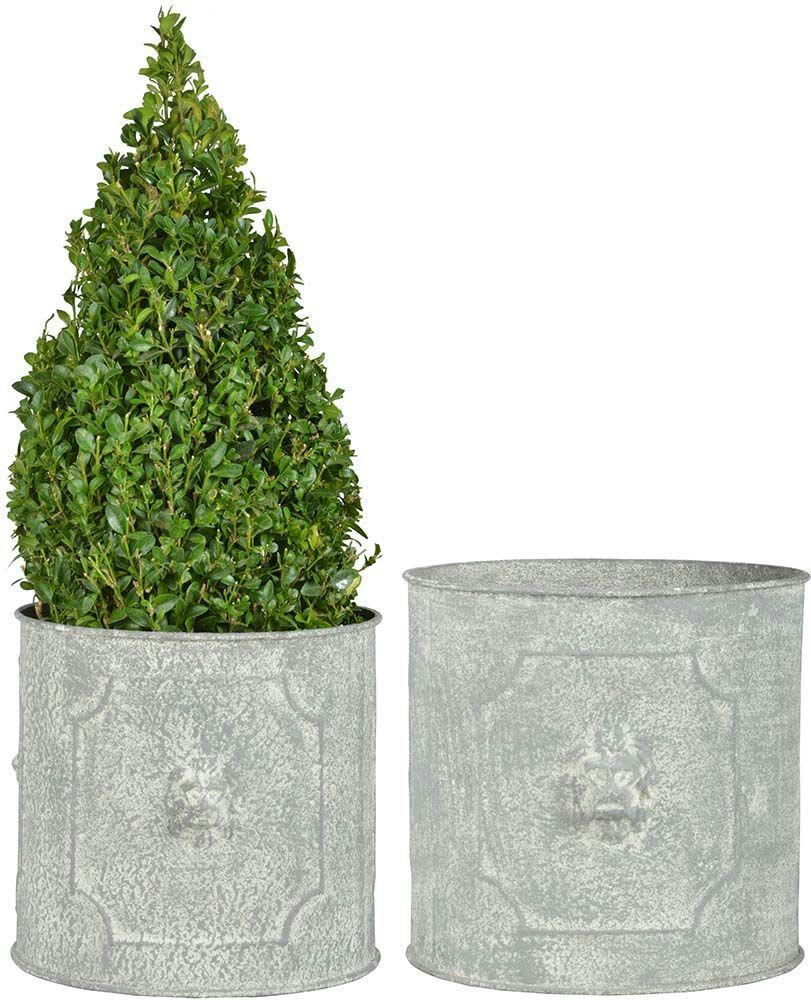 - Pot de fleurs ronds lion (lot de 2)