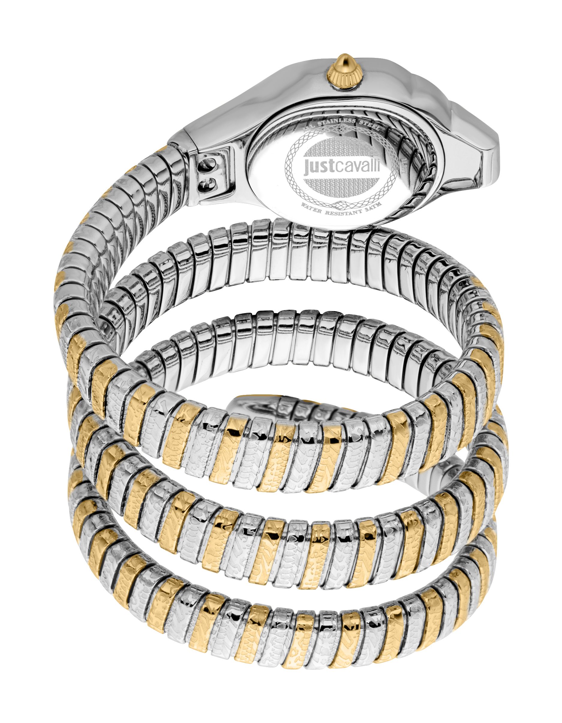 Just Cavalli Ravenna Quartz Silver Dial Watch