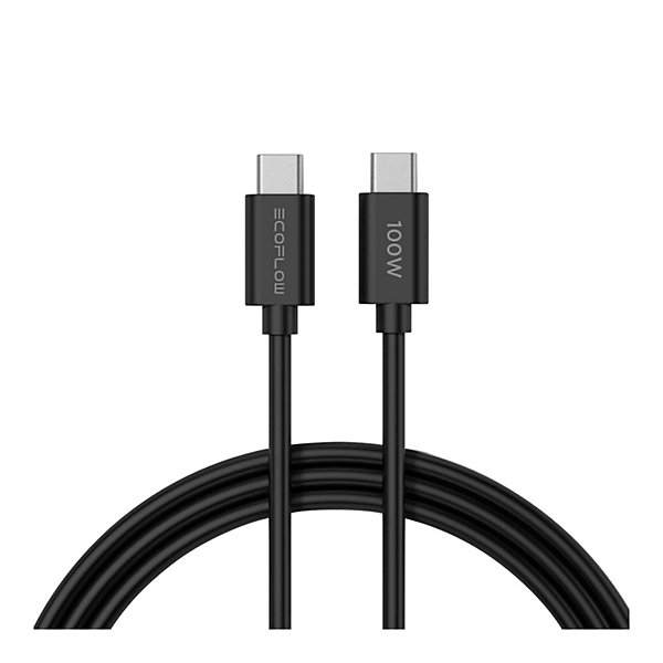 Chargeur GaN RAPID 65 Wavec câble de 100 W - ECOFLOW