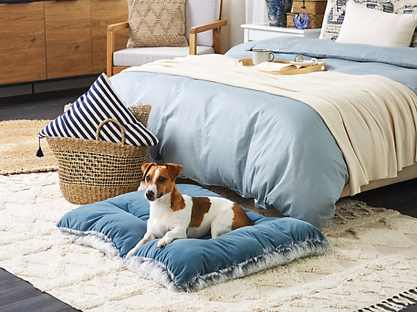 Lit pour animal ERGANI Velours Bleu
