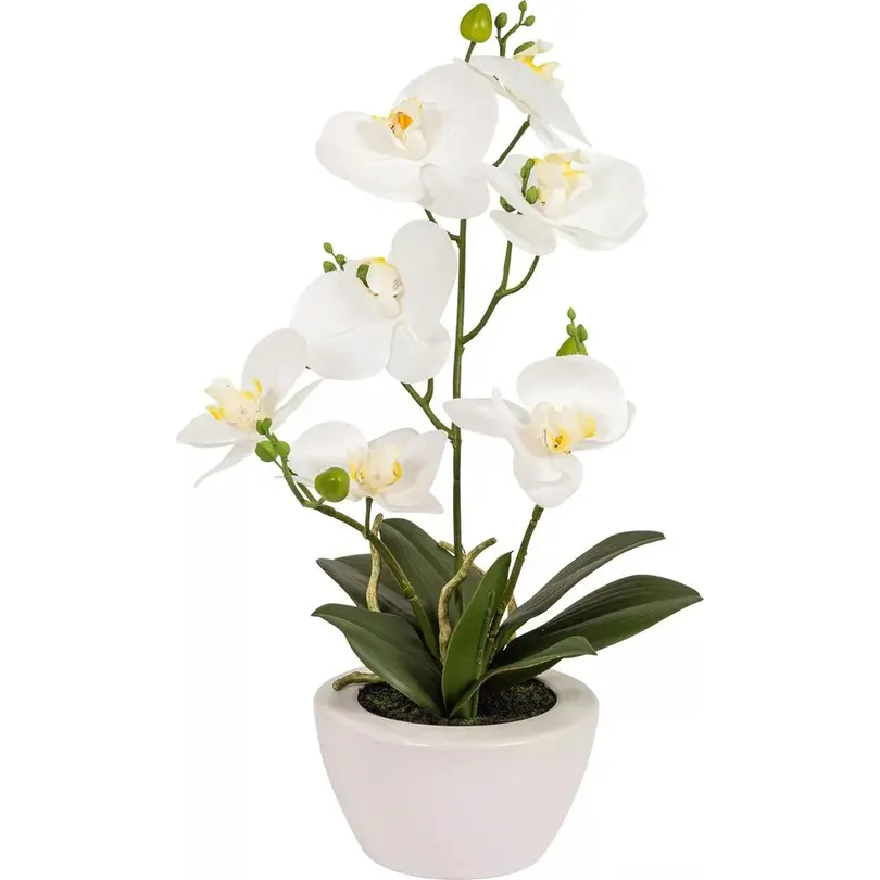 Kunstpflanze 6er-Set Botanic-Haus
